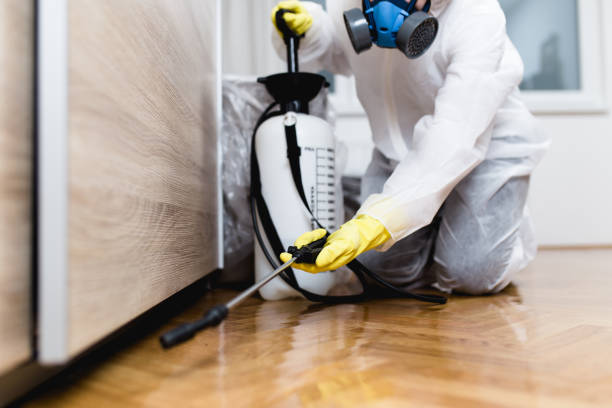 Best Residential Pest Control  in Brownstown, IN