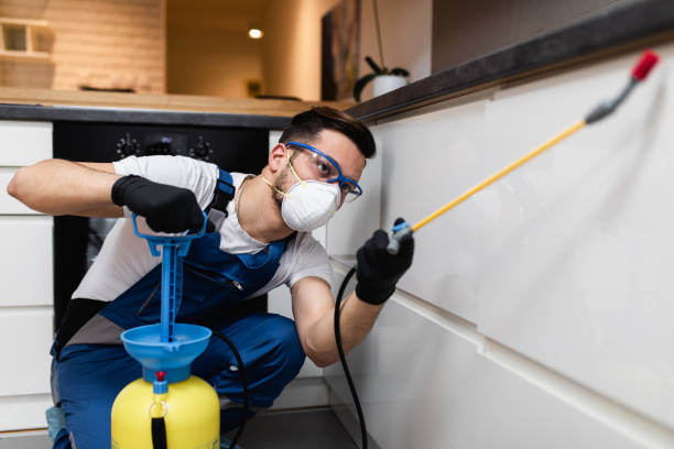 Best Flea Control Services  in Brownstown, IN