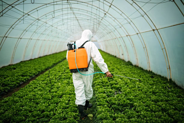 Best Pest Inspection Near Me  in Brownstown, IN