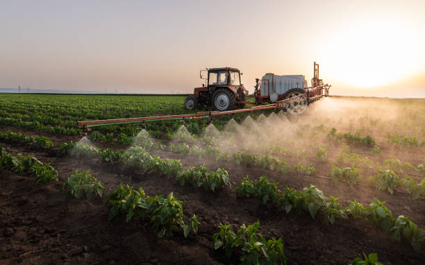 Reliable Brownstown, IN Pest Control Solutions