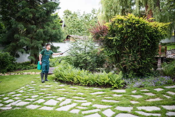 Best Local Pest Control Services  in Brownstown, IN