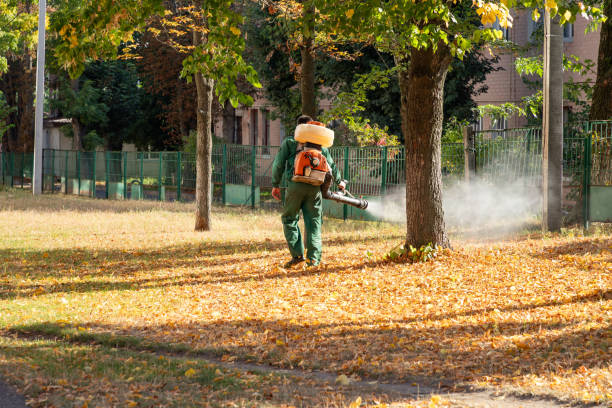 Best Best Pest Control Companies  in Brownstown, IN