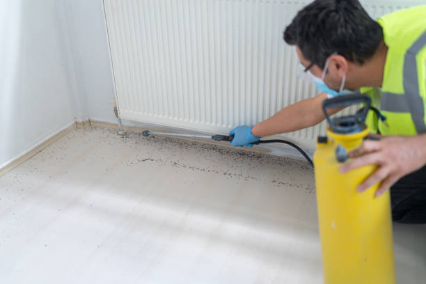 Best Bed Bug Extermination  in Brownstown, IN